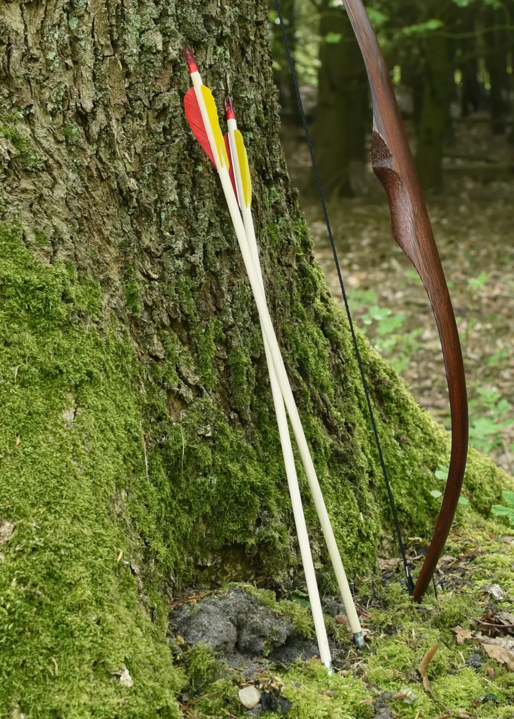 Holzpfeil Little Archer, 20 Zoll – Bild 2