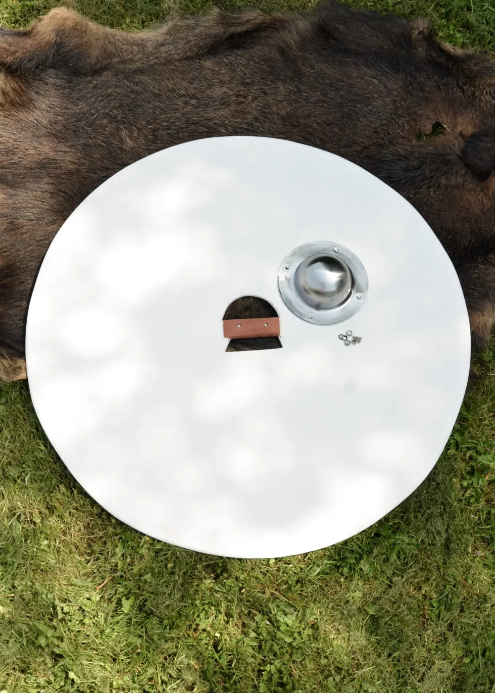 Wikinger Rundschild, Rohling aus Holz mit Stahlbuckel – Bild 2